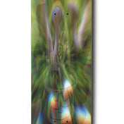 MIRAGE SKATEBOARD DECK - ZANY